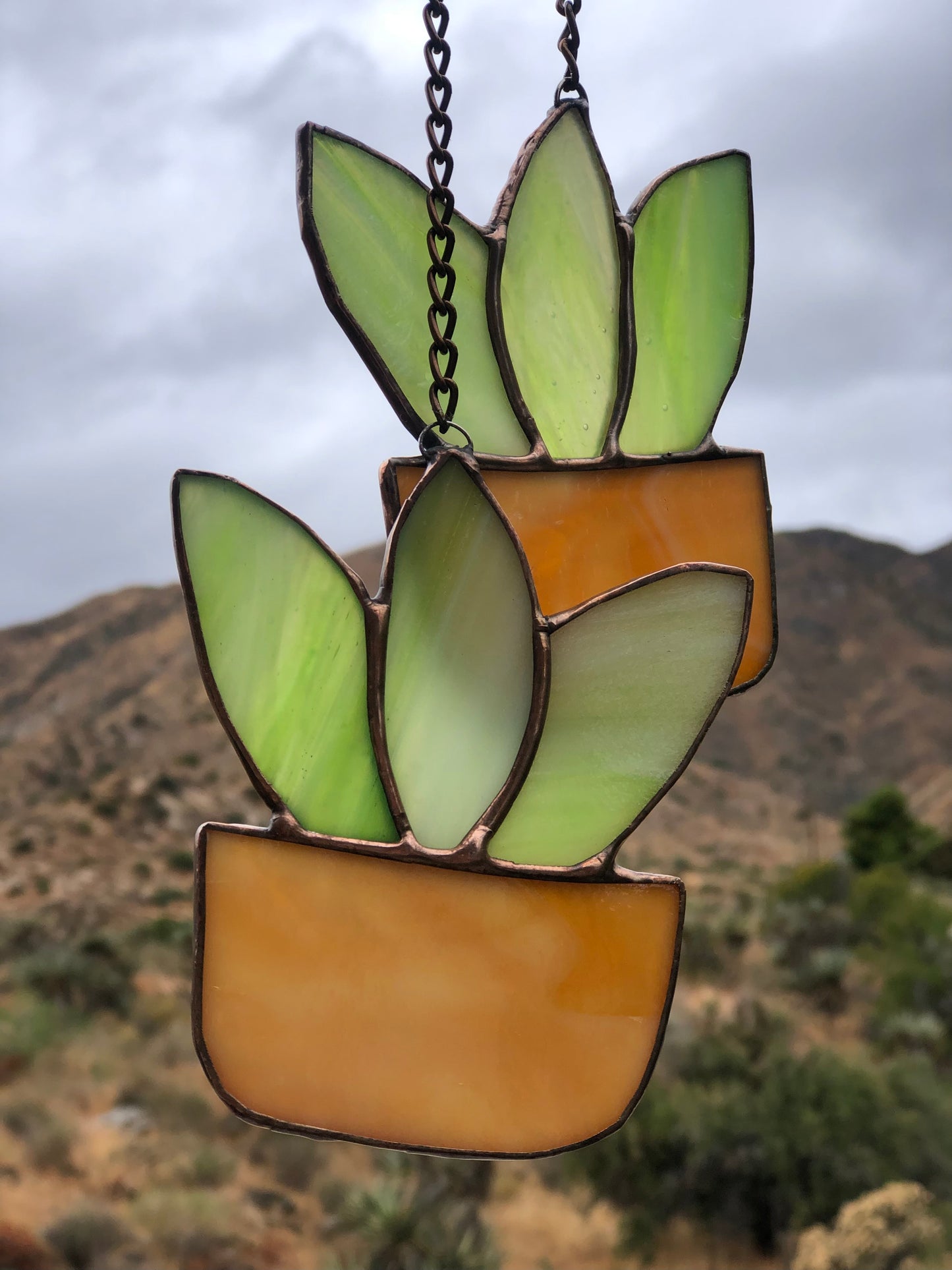 Succulent Suncatcher