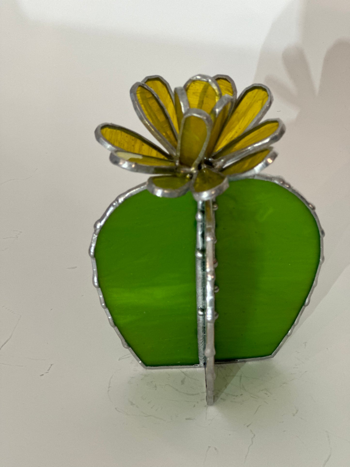 Cactus Blooming Stained Glass