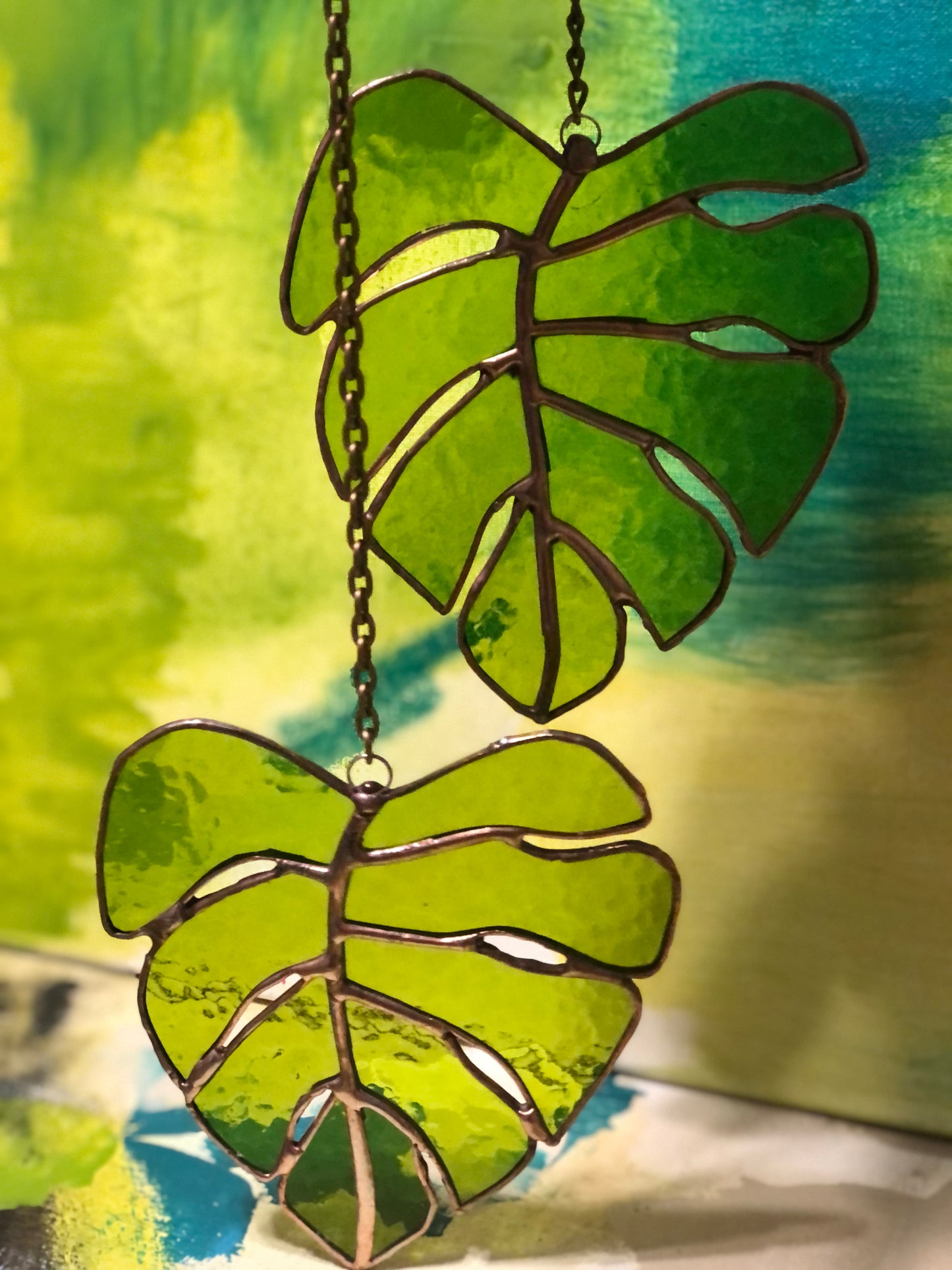 Monstera Real